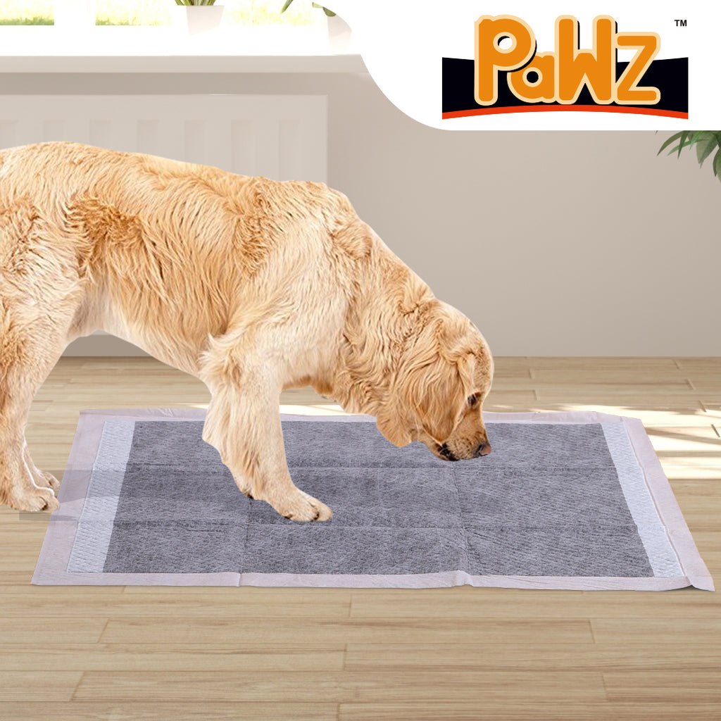 PaWz 200 Pcs 60x60cm Charcoal Pet Puppy