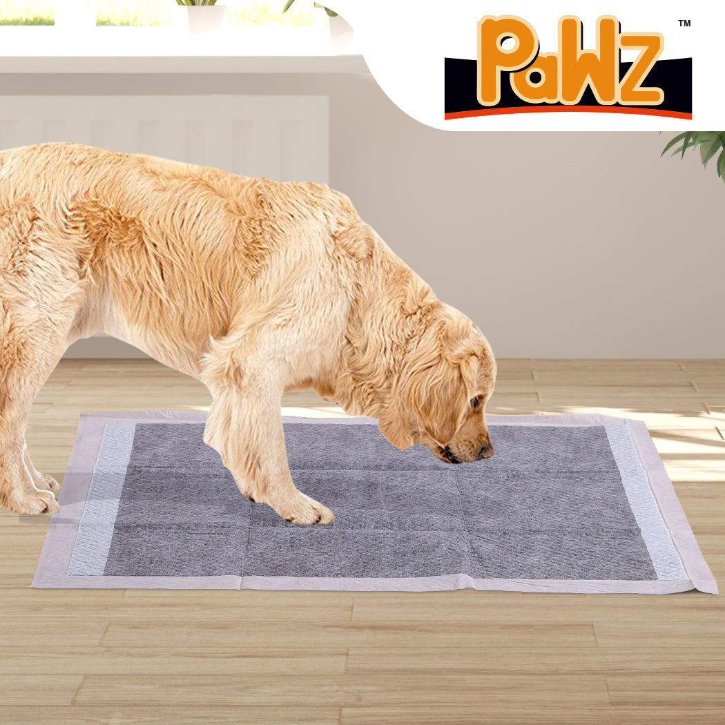 PaWz 200 Pcs 60x60cm Charcoal Pet Puppy