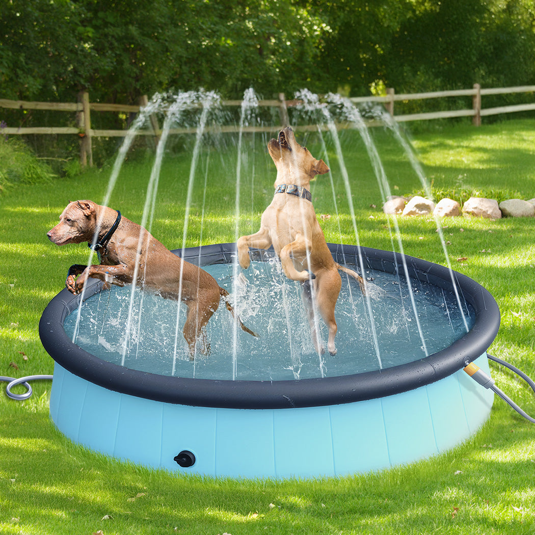 Pawz Folding Dog Swimming Pool