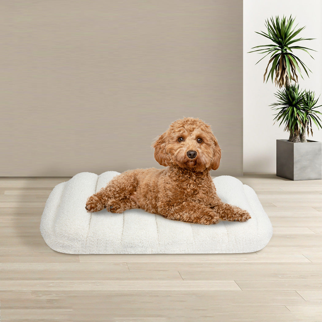 Pawz S Size Orthopedic Dog Bed with Sherpa Plush Removable Cover in White