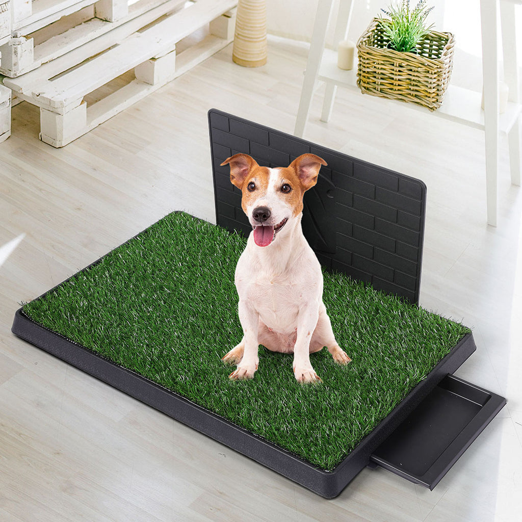 PaWz Indoor Dog Pet Grass Potty Training L