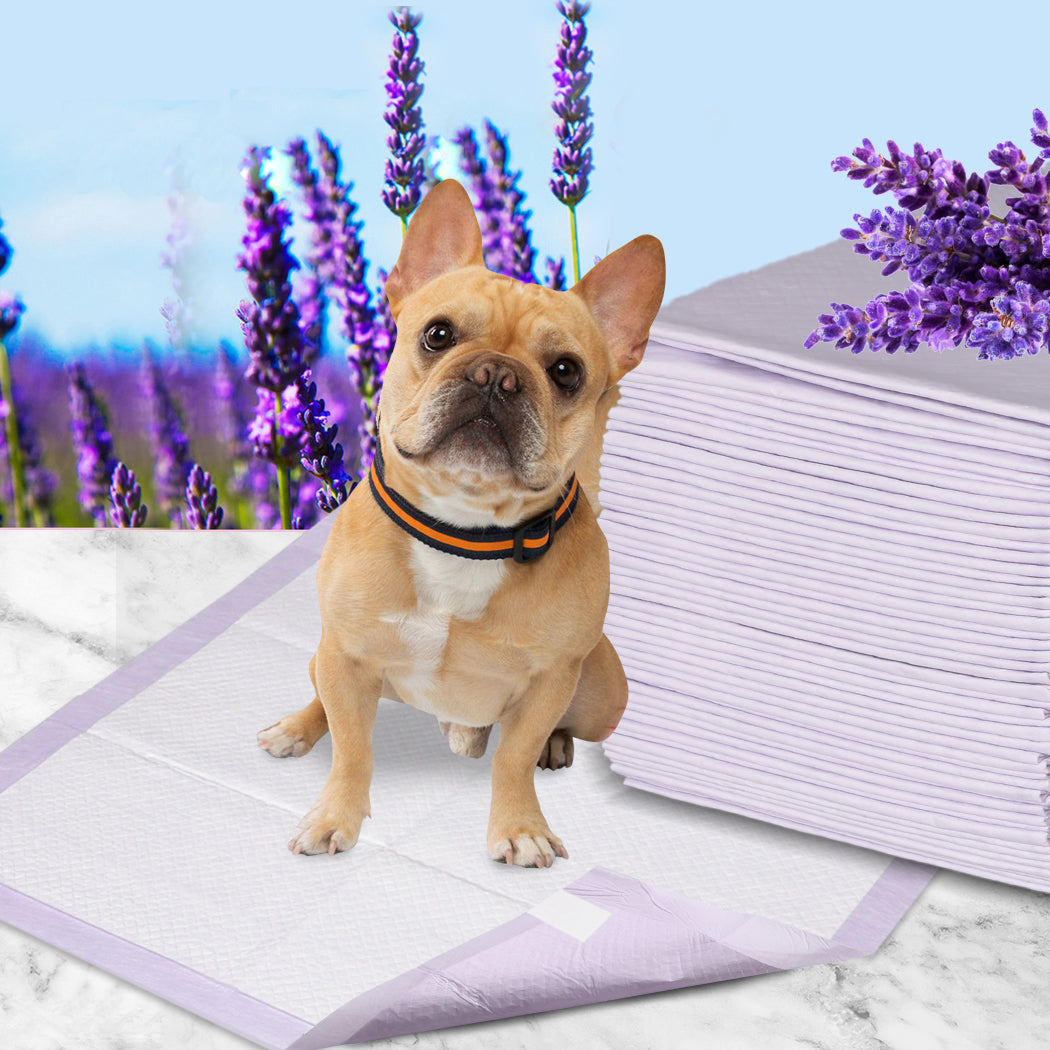 PaWz 400x Pet Dog Toilet Training Pad