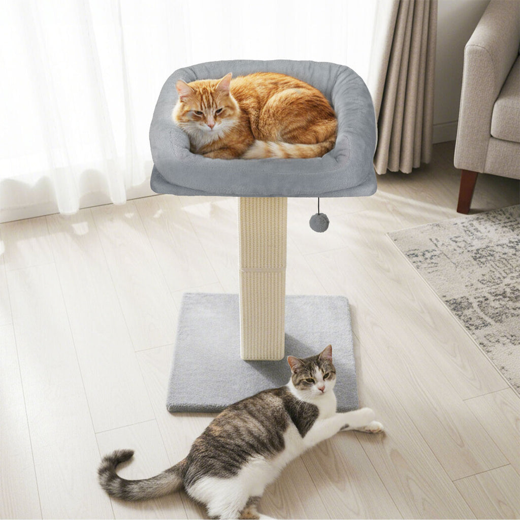 Pawz Cat Scratcher Big Perch Bed