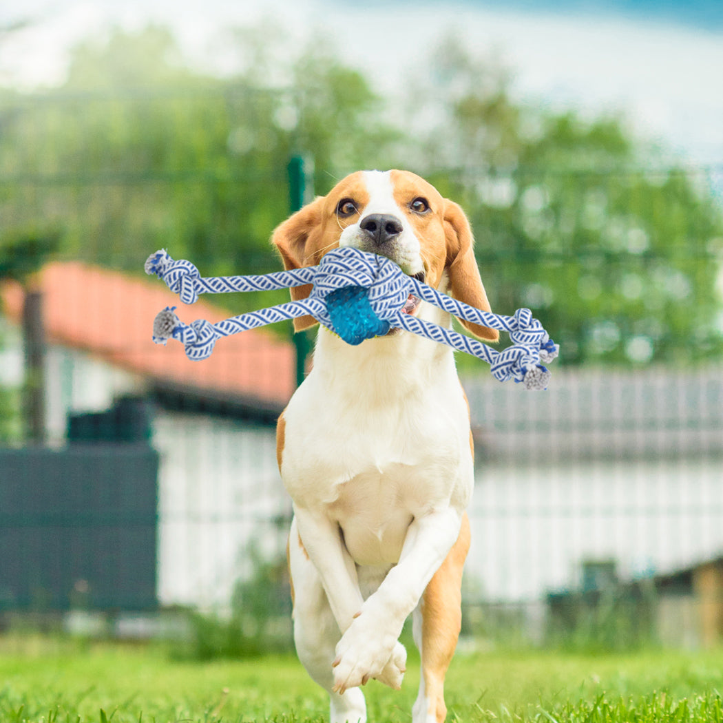 PaWz Dog Chew Toys Squeaky Puppy Pet