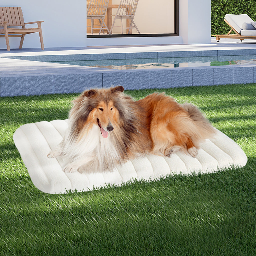 Pawz L Size Orthopedic Dog Bed with Sherpa Plush Removable Cover in White