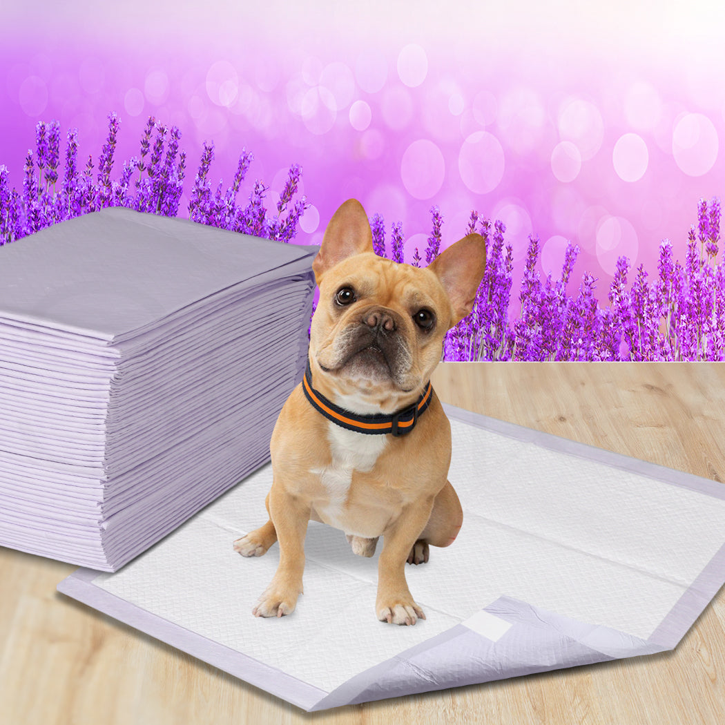 PaWz 400x Pet Dog Toilet Training Pad