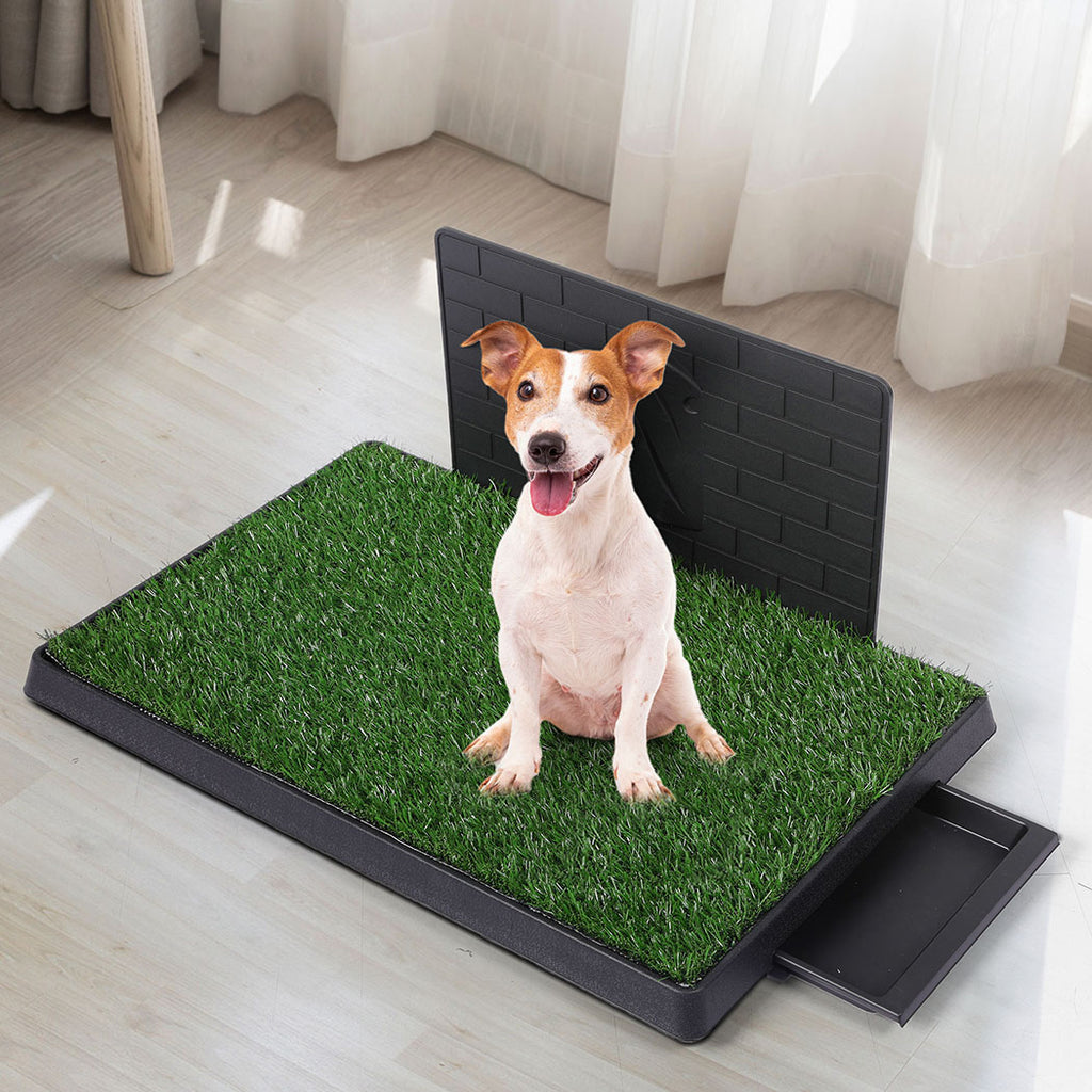 PaWz Indoor Dog Pet Grass Potty Training L