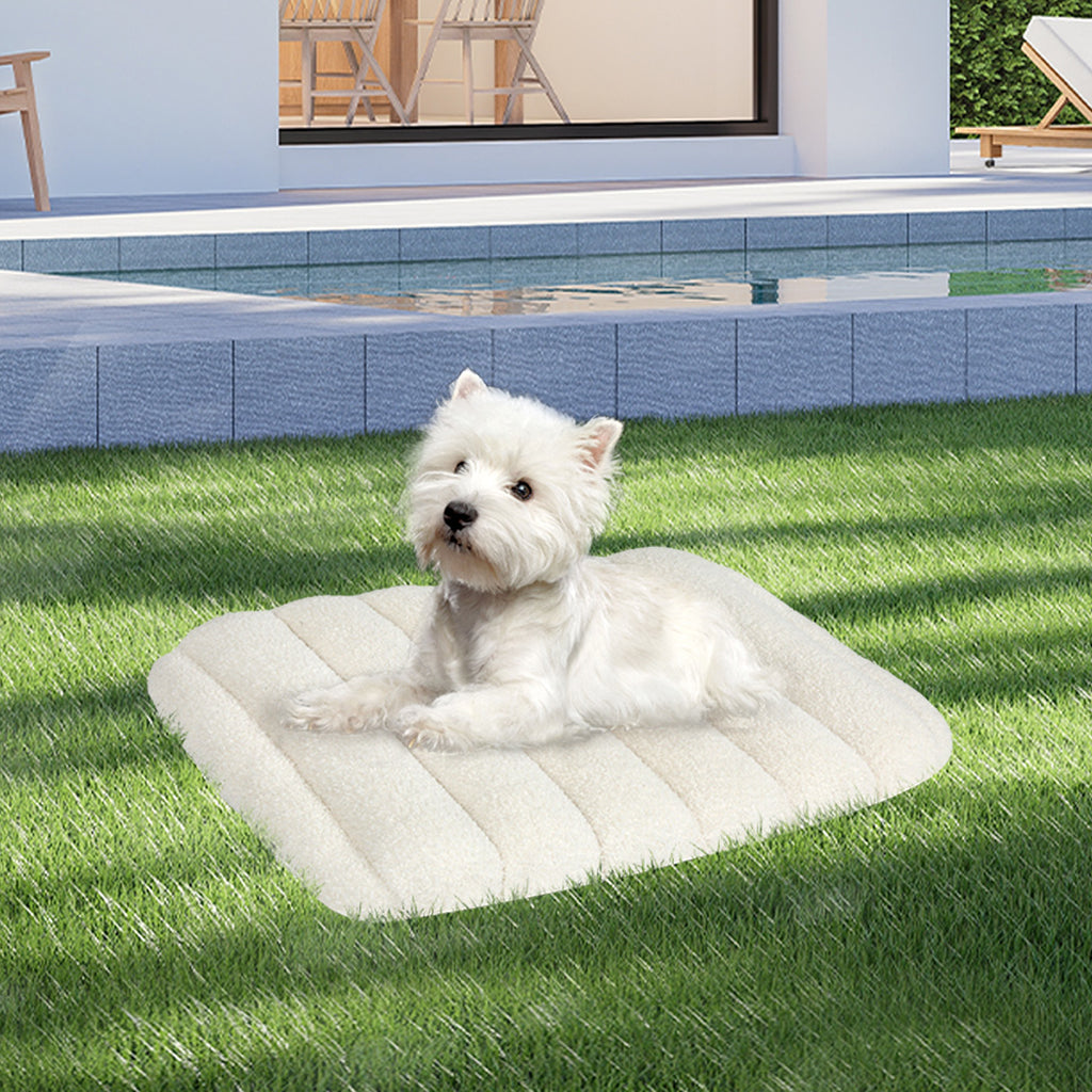 Pawz S Size Orthopedic Dog Bed with Sherpa Plush Removable Cover in White