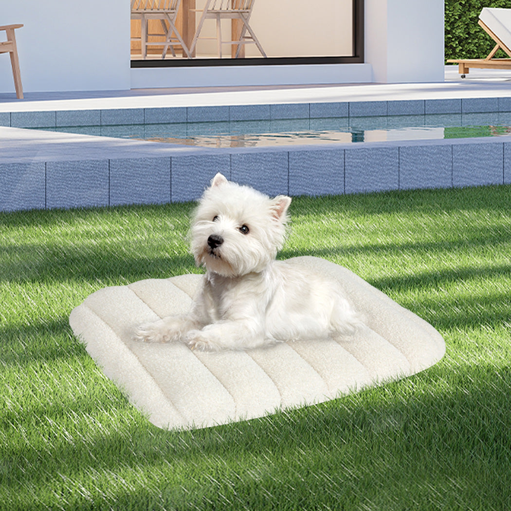 Pawz S Size Orthopedic Dog Bed with Sherpa Plush Removable Cover in White