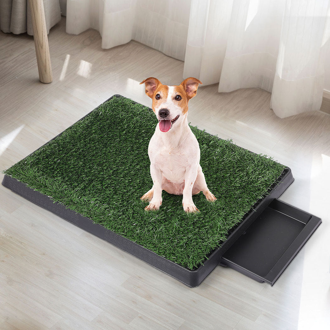 PaWz Indoor Dog Pet Grass Potty Training