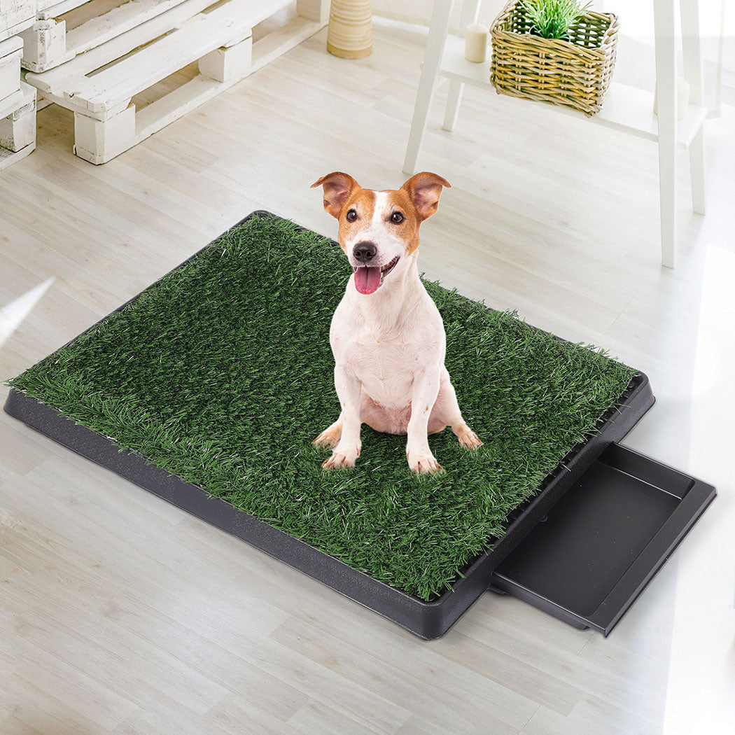 PaWz Indoor Dog Pet Grass Potty Training