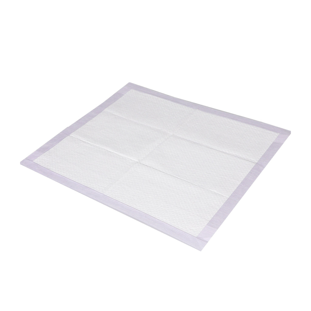 PaWz 200x Pet Dog Toilet Training Pad