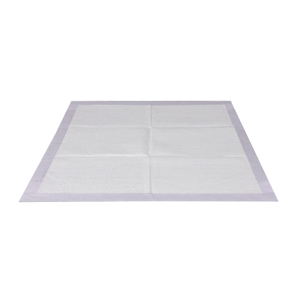 PaWz 200x Pet Dog Toilet Training Pad