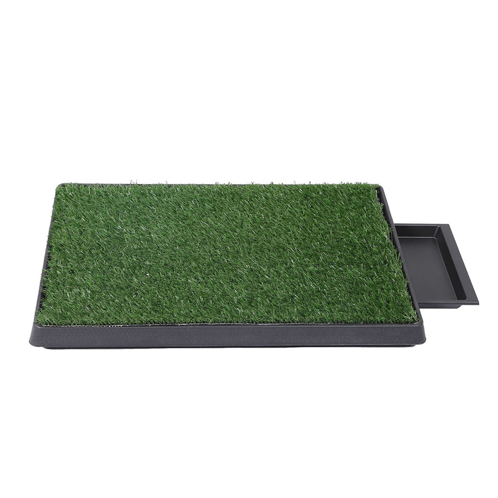 PaWz Indoor Dog Pet Grass Potty Training