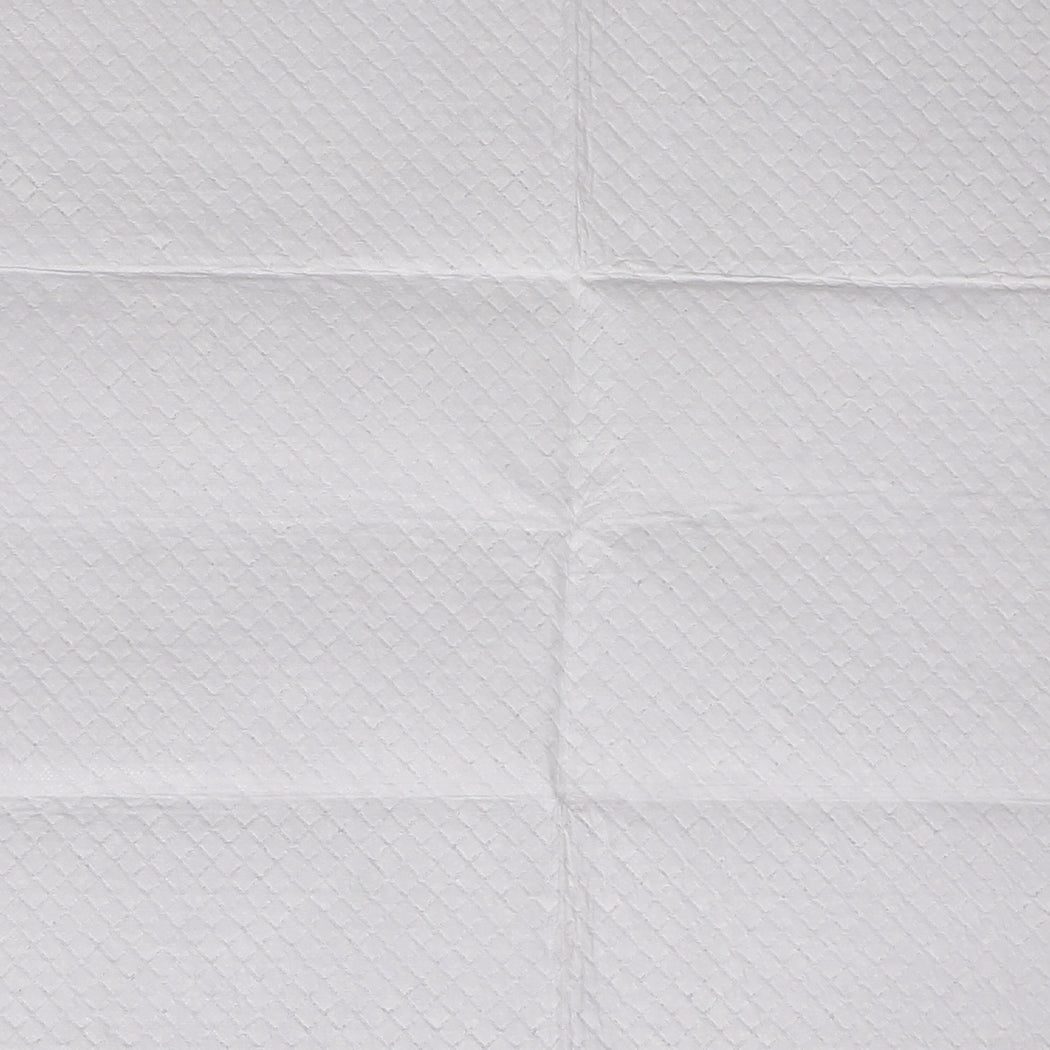 PaWz 200x Pet Dog Toilet Training Pad